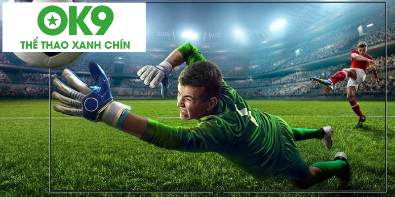 Quan sát mọi diễn biến của trận đấu